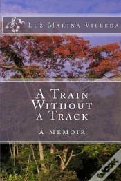Capa do artigo A Train Without A Track