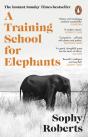 A Training School For Elephants - Preview
