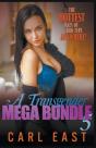 A Transgender Mega Bundle 5 - Preview