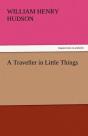 A Traveller In Little Things - Preview