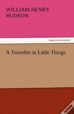 Capa do artigo A Traveller In Little Things