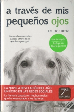 Capa do artigo A Través De Mis Pequeños Ojos