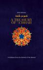 A Treasury Of Aisha - Preview
