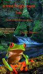 A Tree Frog'S Eyes - Preview