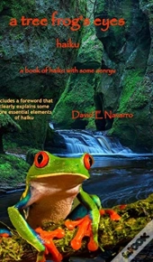 A Tree Frog'S Eyes