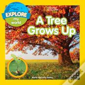 A Tree Grows Up