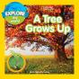 A Tree Grows Up - Preview