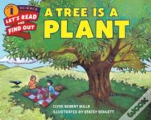 A Tree Is A Plant