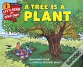 A Tree Is A Plant