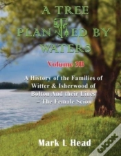 Capa do artigo A Tree Planted By Waters: Volume 3-B