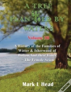 Capa do artigo A Tree Planted By Waters: Volume 3-B