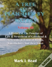 Capa do artigo A Tree Planted By Waters: Volume 4-B