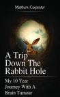 A Trip Down The Rabbit Hole - Preview