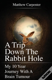 Capa do artigo A Trip Down The Rabbit Hole