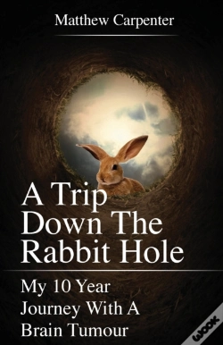 Capa do artigo A Trip Down The Rabbit Hole