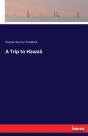 A Trip To Hawaii - Preview