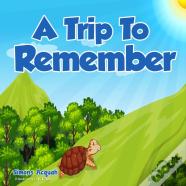 A Trip To Remember