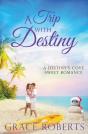 A Trip With Destiny - Preview