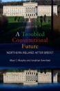A Troubled Constitutional Future - Preview