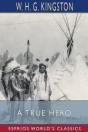 A True Hero (Esprios Classics) - Preview