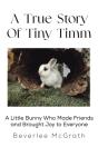 A True Story Of Tiny Timm - Preview