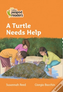 Capa do artigo A Turtle Needs Help
