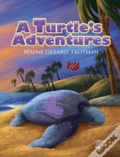Capa do artigo A Turtle