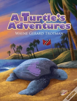 Capa do artigo A Turtle'S Adventures