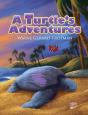 A Turtle'S Adventures - Preview