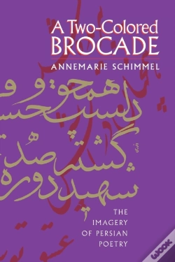 Capa do artigo A Two-Colored Brocade