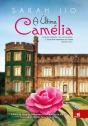 A Última Camélia - Preview