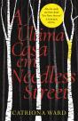 A última casa em Needless Street - Preview