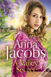 Capa do artigo A Valley Secret