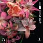 A Vegetariana - Preview