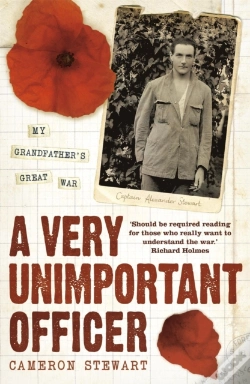 Capa do artigo A Very Unimportant Officer