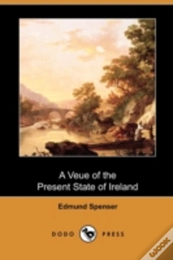 Capa do artigo A Veue Of The Present State Of Ireland (