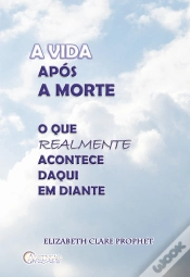 Capa do artigo A Vida Após a Morte