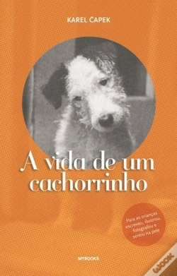 Capa do artigo A Vida de Um Cachorrinho