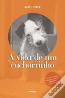 A Vida de Um Cachorrinho