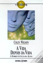 Capa do artigo A Vida Depois da Vida