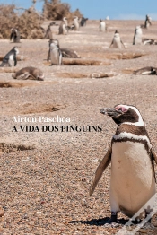 Capa do artigo A Vida Dos Pinguins