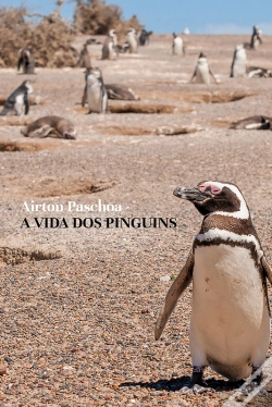 Capa do artigo A Vida Dos Pinguins