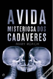Capa do artigo A Vida Misteriosa dos Cadáveres