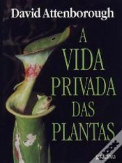 Capa do artigo A Vida Privada das Plantas