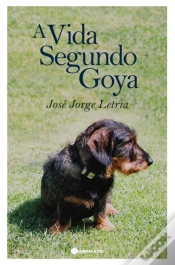 Capa do artigo A Vida Segundo Goya 