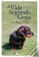 A Vida Segundo Goya 