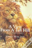 A View From A Tall Hill