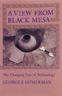 A View From Black Mesa - Preview