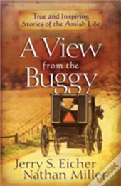 A View From The Buggy