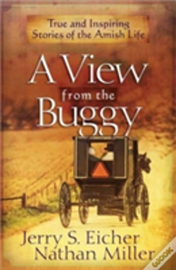 Capa do artigo A View From The Buggy